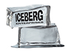 Iceberg Enterprises